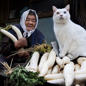 Mai - rencontre-Asiatique-Fontenay-sous-Bois